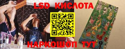 молекула духа Донецк