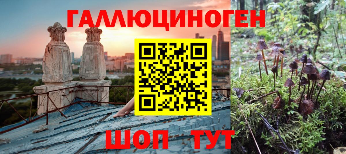 Псилоцибиновые грибы MAGIC MUSHROOMS  Галлюциногенные грибы MAGIC MUSHROOMS  Вход с VPN  Нижний Новгород 