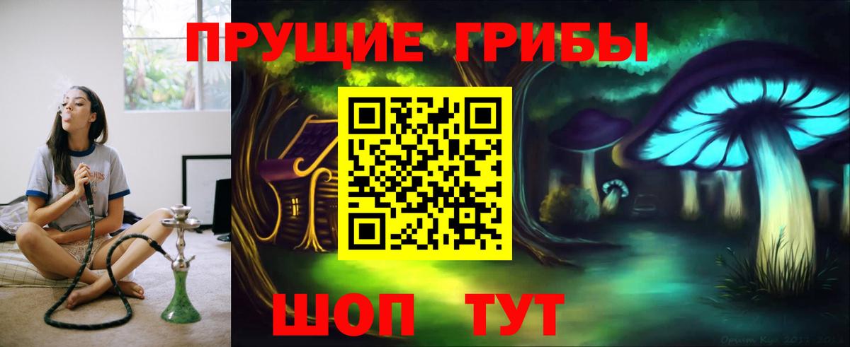 Псилоцибиновые грибы Cubensis Нижний Новгород